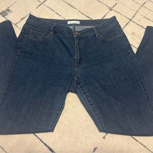 Loft Curvy Skinny